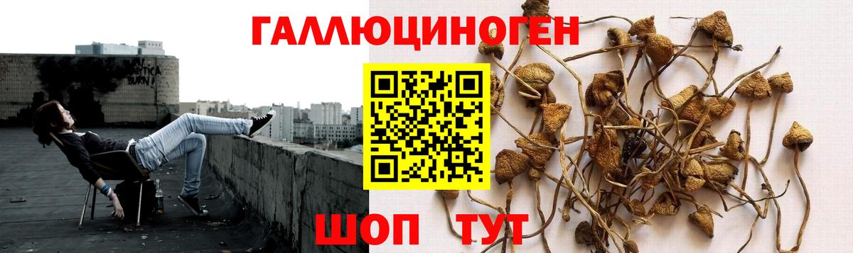 Псилоцибиновые грибы ЛСД Южно-Сахалинск